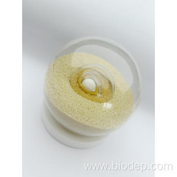 High Activity Bifidobacterium Bifidum Powder